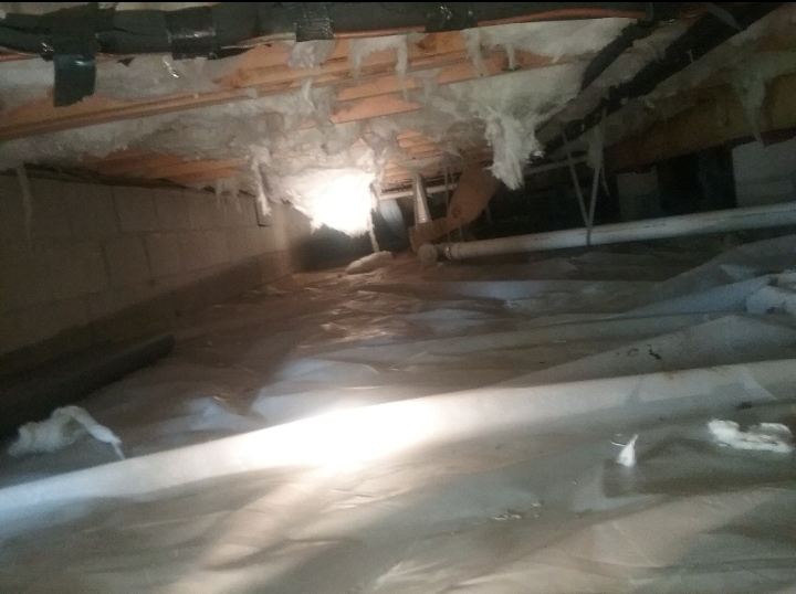 insulation crawlspace Salisbury Md